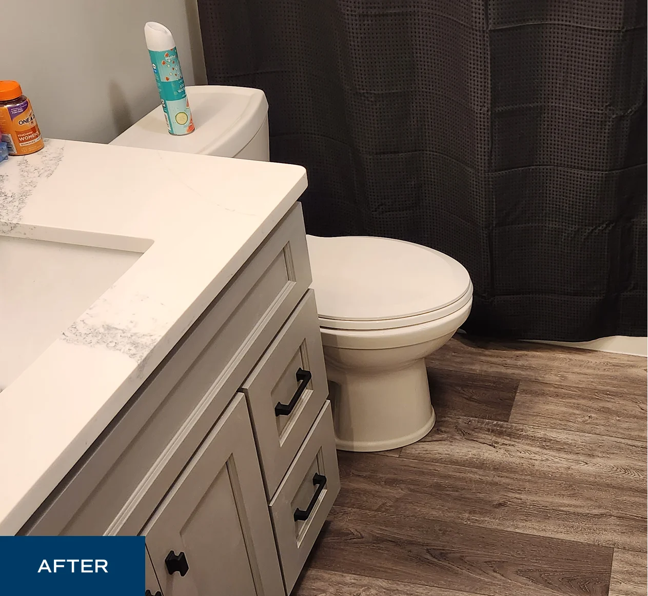 Haartje Whole House Remodel